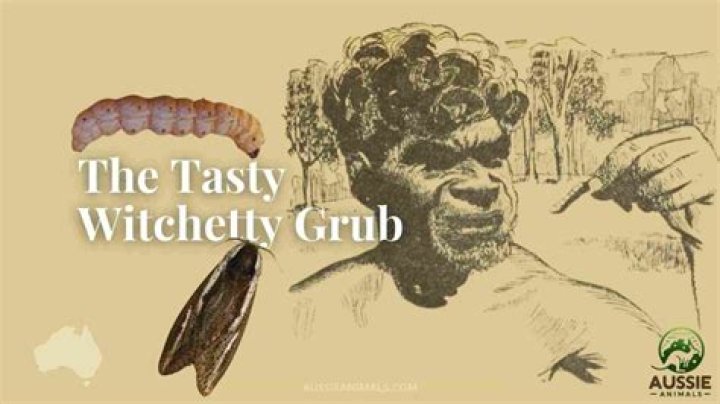 Are witchetty grubs good for you?