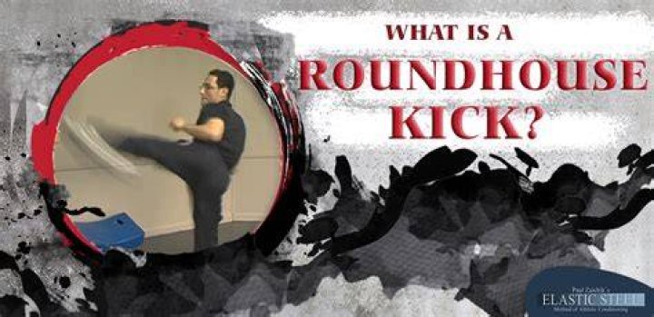Can a roundhouse kick kill?