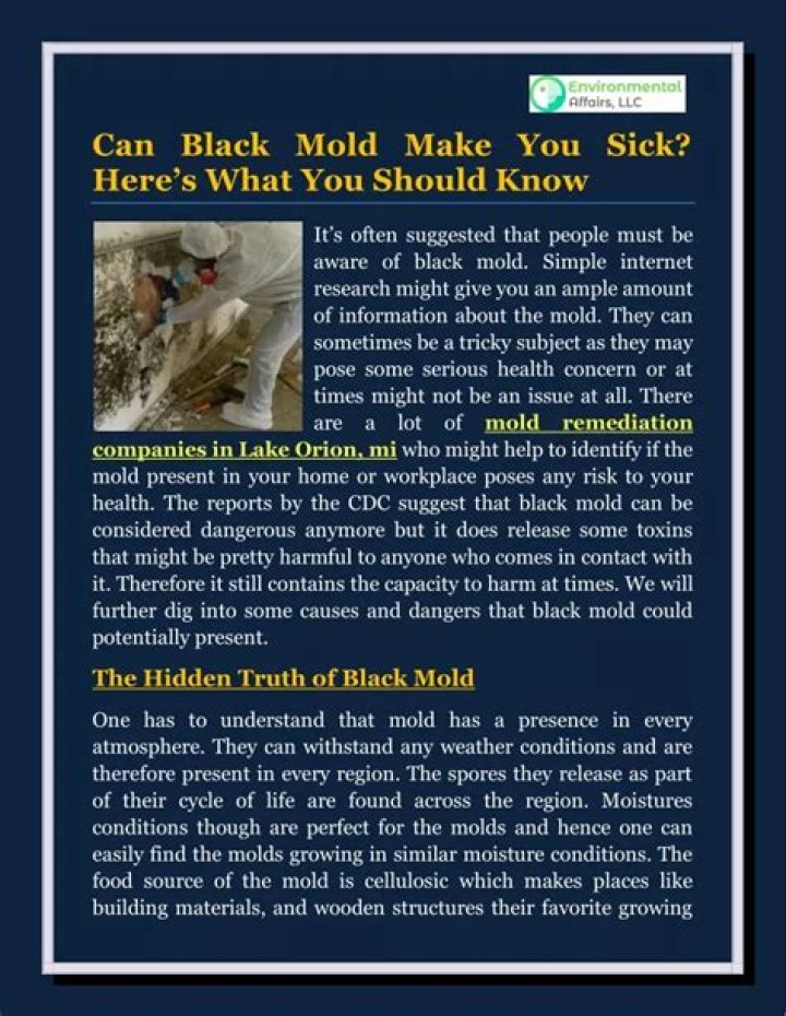 Can black mold make you sick?