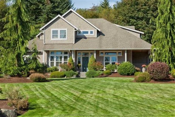 Can you put gypsum on grass?