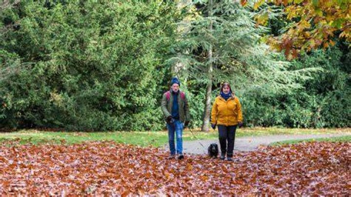 Can you take dogs to clumber park?