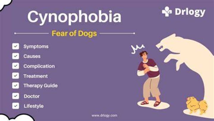 Do i have cynophobia?