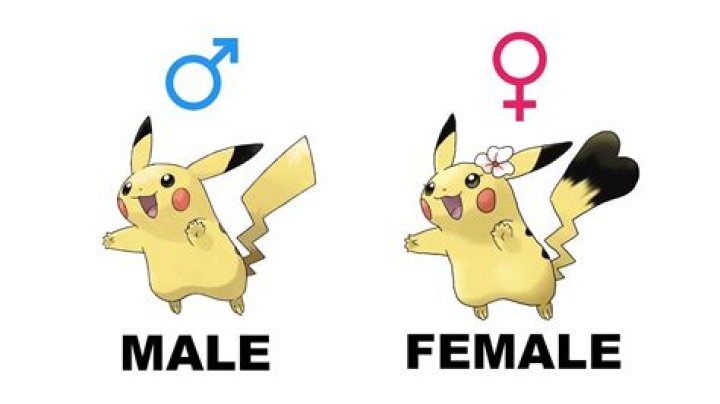 Does pichu have a gender difference?
