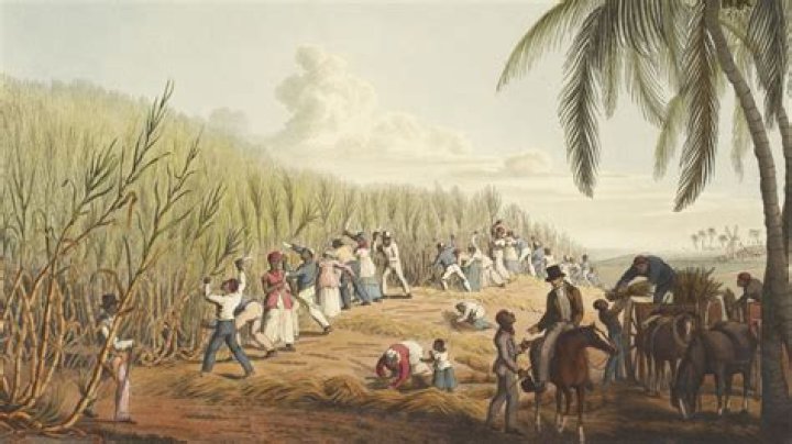 How did plantation slave labor begin?