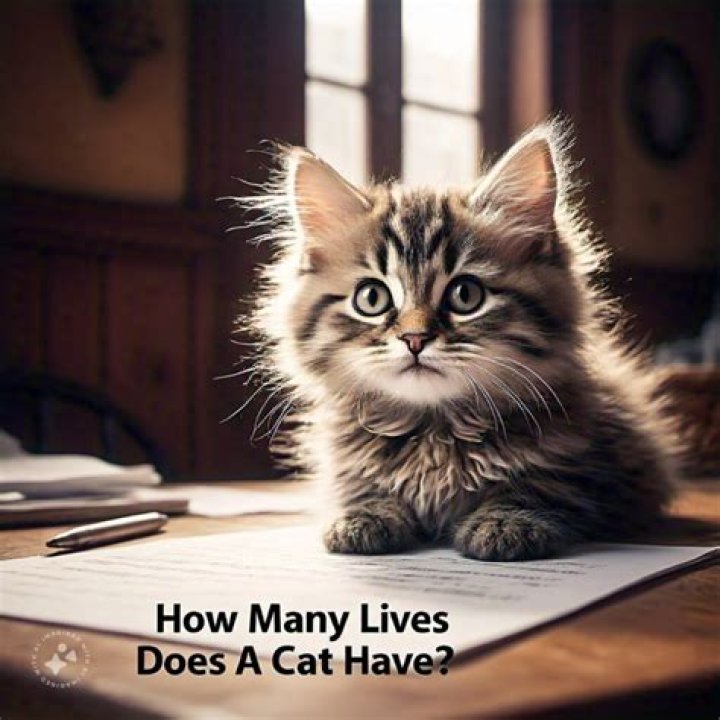 How lives do cats have?