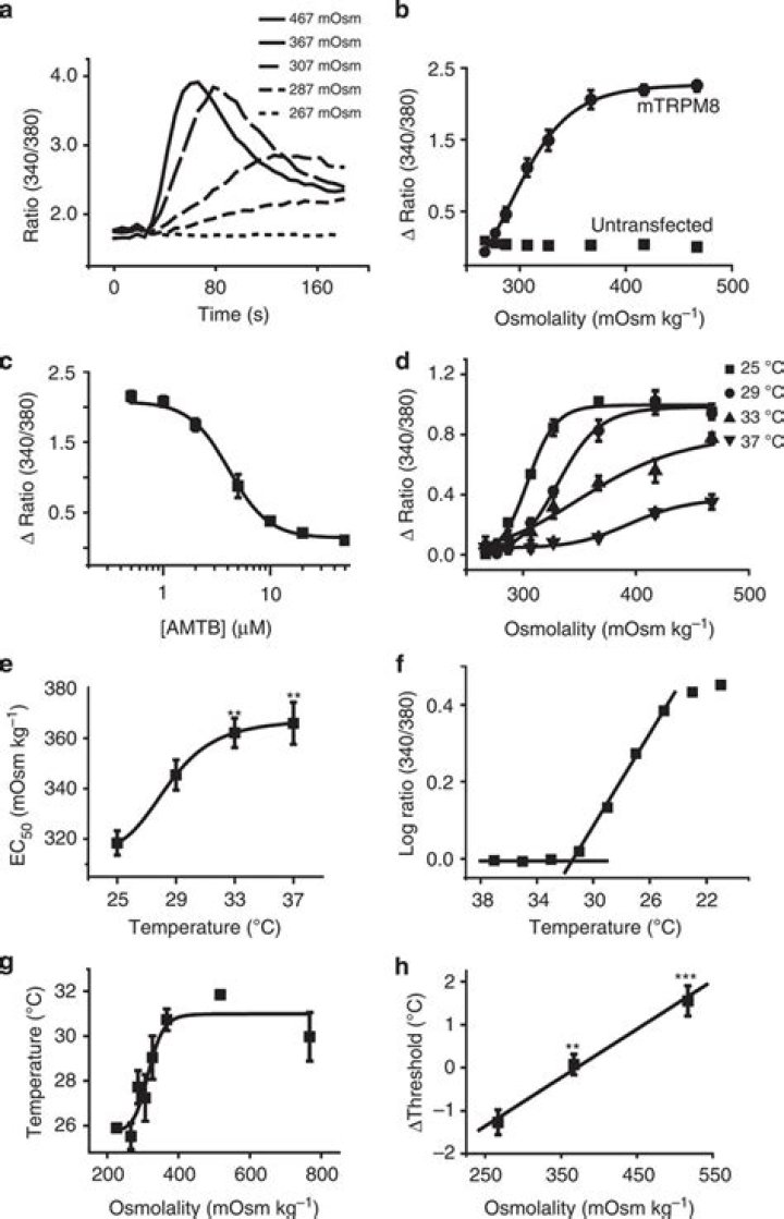 Is osmolality affected by temperature?