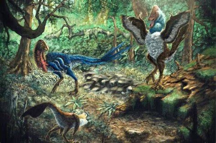 Were chickens around with dinosaurs?