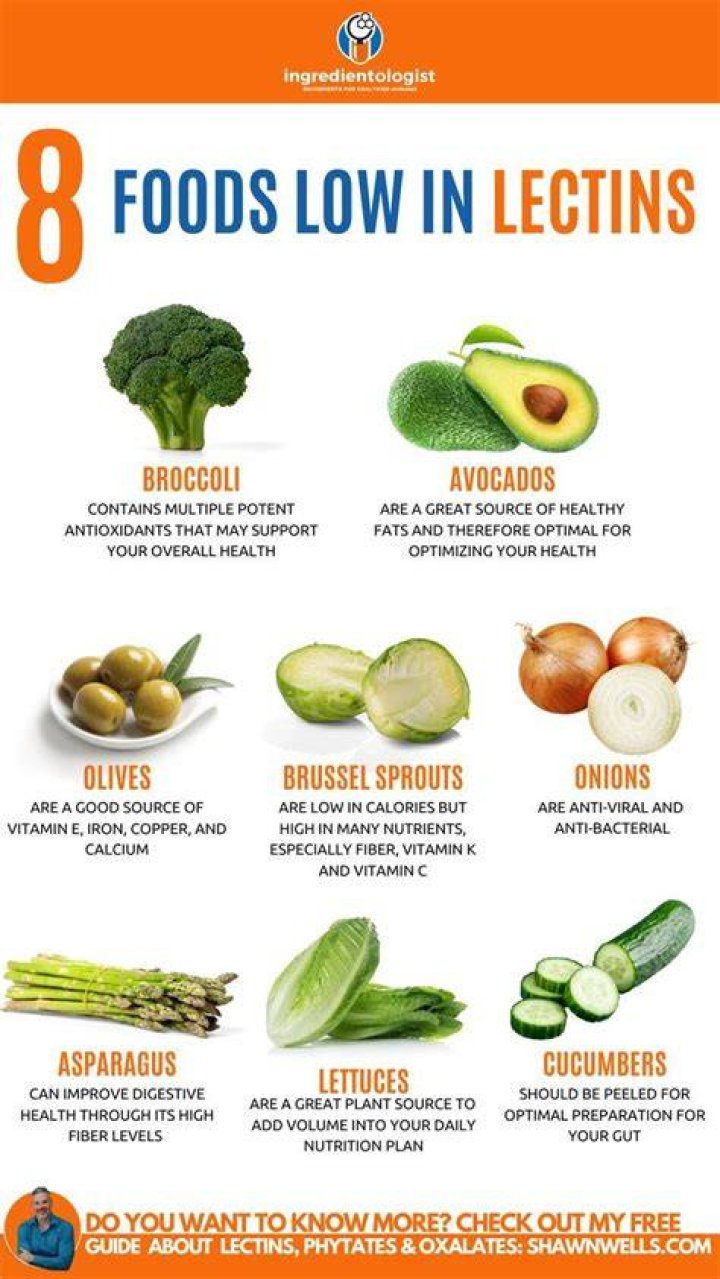 What are lectin free foods?