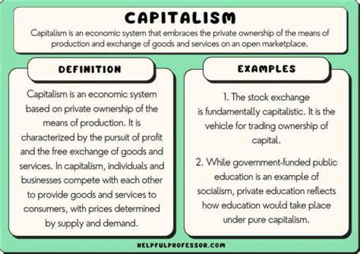 What is capitalist sector?