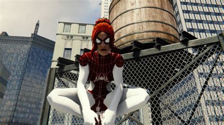 Where is a spider spinneret?