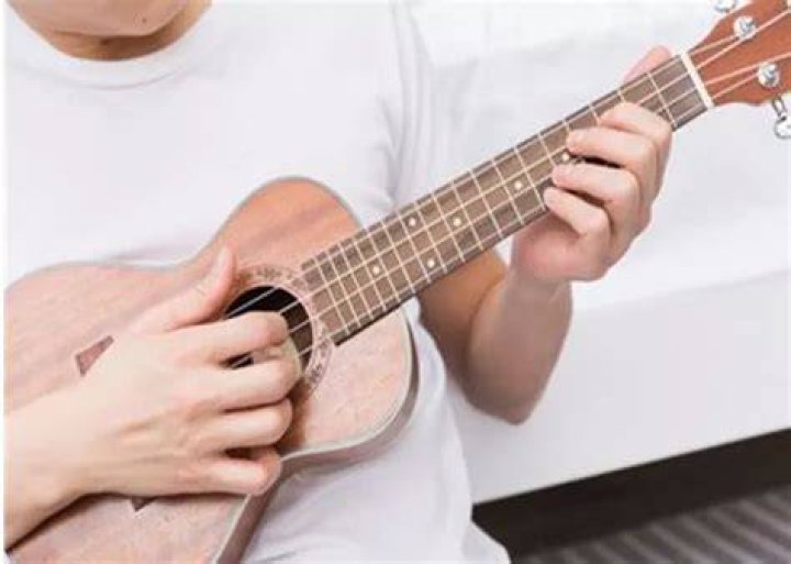 Which ukulele brand is the best?