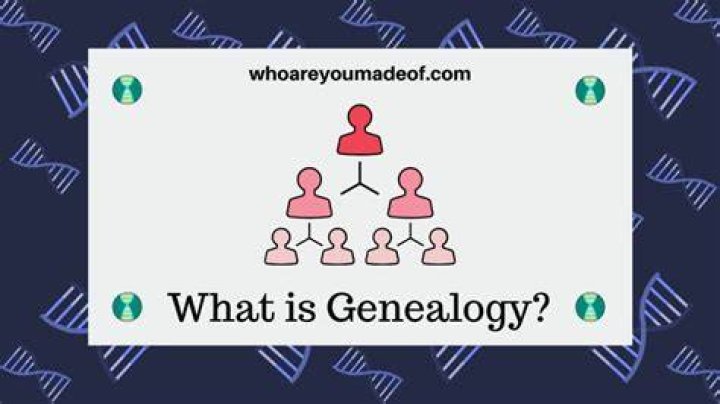 Who is a genetic genealogy?