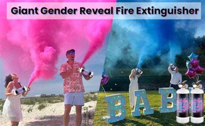 Who is the gender reveal fire family?