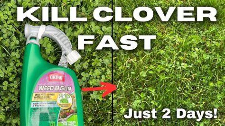 Will butyrac 200 kill clover?